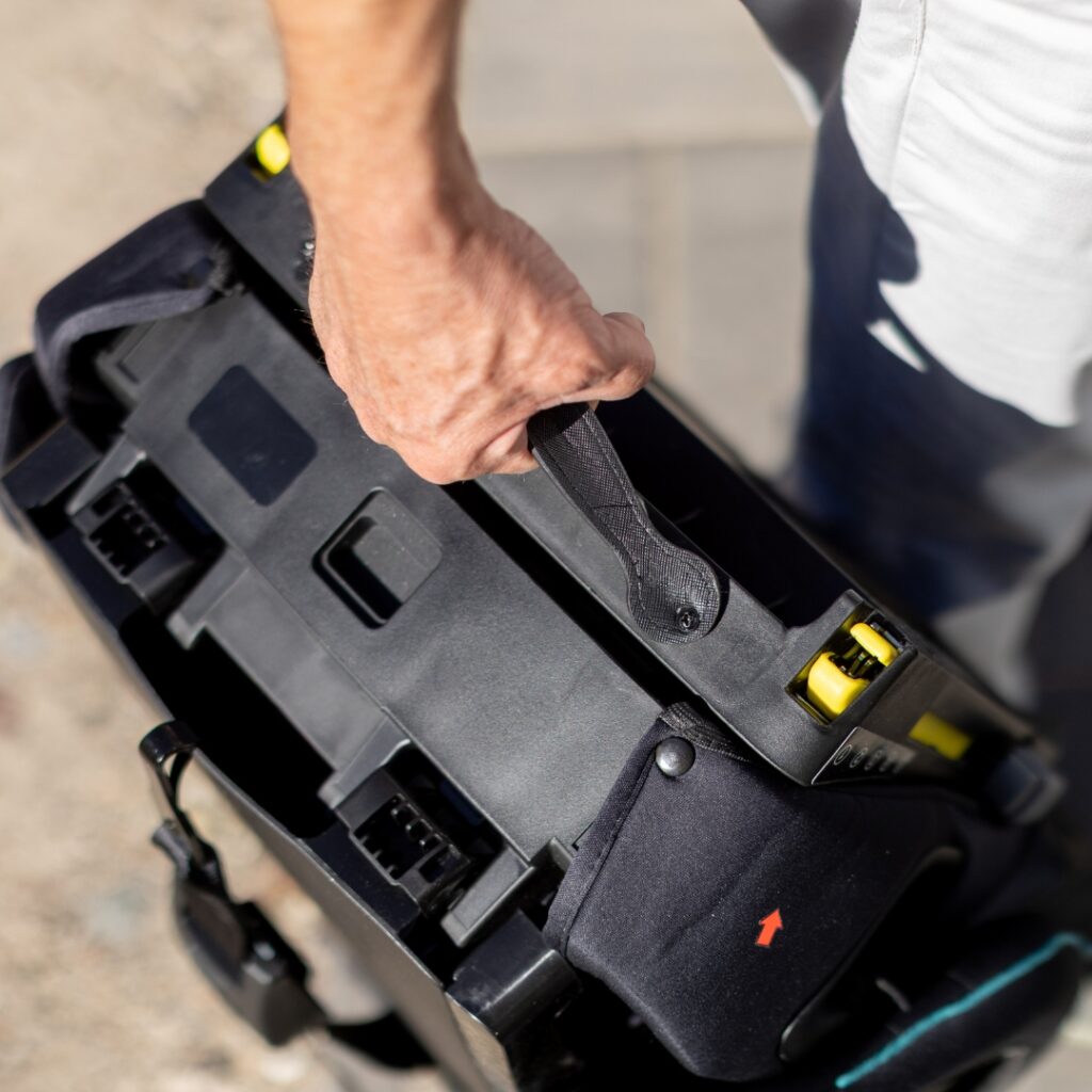 urban kanga wallaroo grow